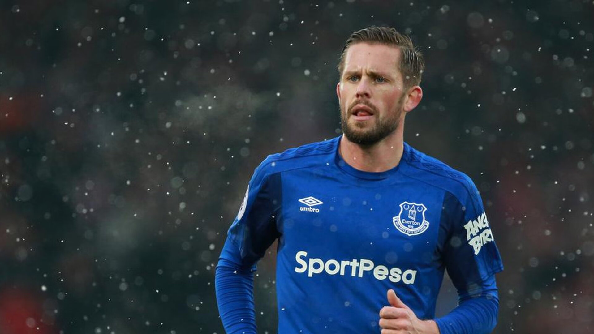 青年军崛起新一代挑战者势不可挡，青年军序列